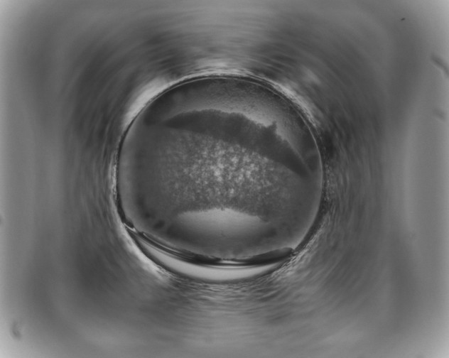 X0000096941383200802081155