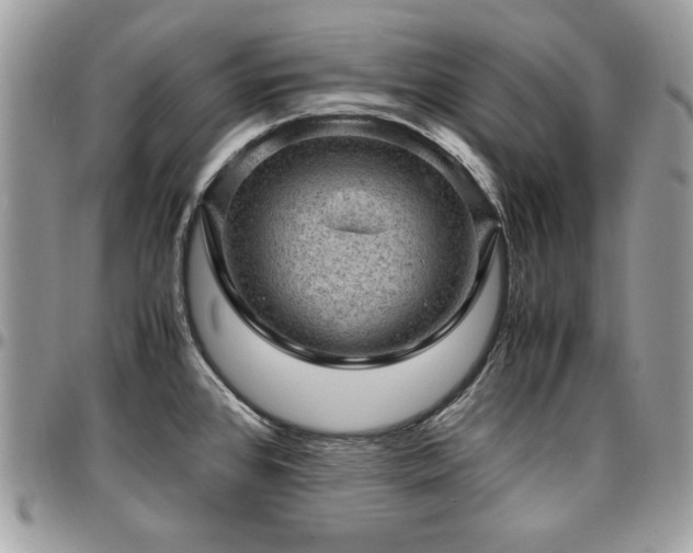 X0000096941384200802081155