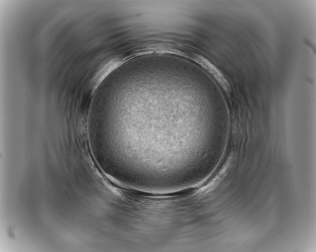 X0000096941385200802081155