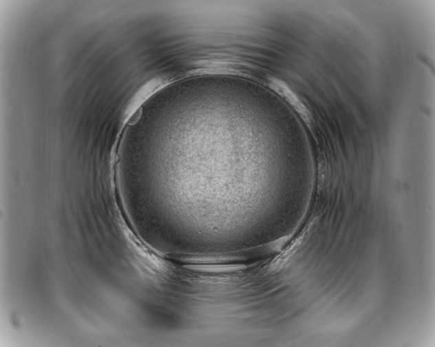X0000096941386200802081155