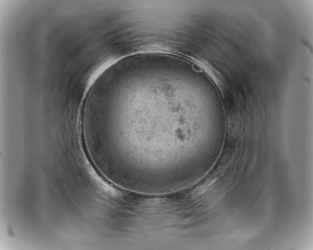 X0000096941387200802081155