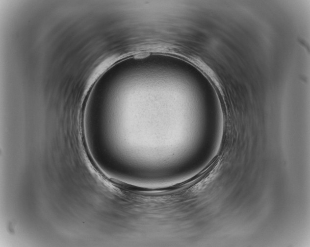 X0000096941389200802081155
