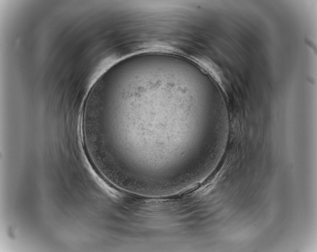 X0000096941391200802081155