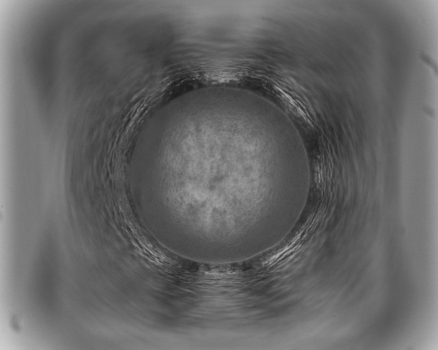 X0000096941393200802081155