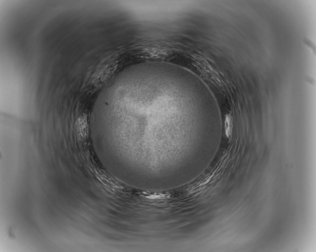 X0000096941395200802081155