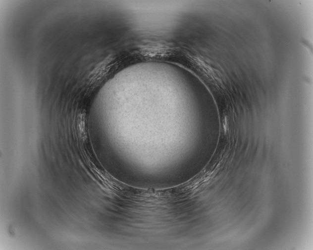 X0000096941396200802081155
