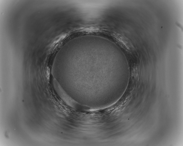 X0000096941398200802081155