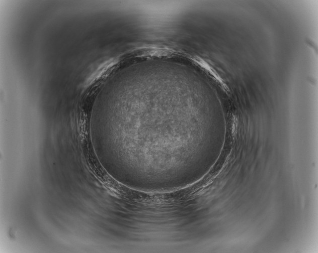 X0000096941399200802081155