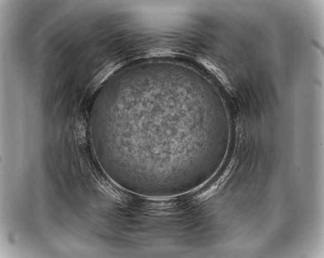 X0000096941401200802081155