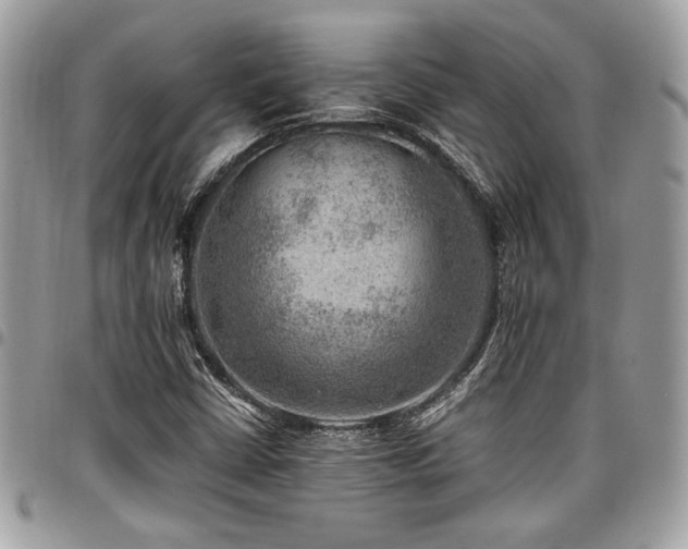 X0000096941402200802081155