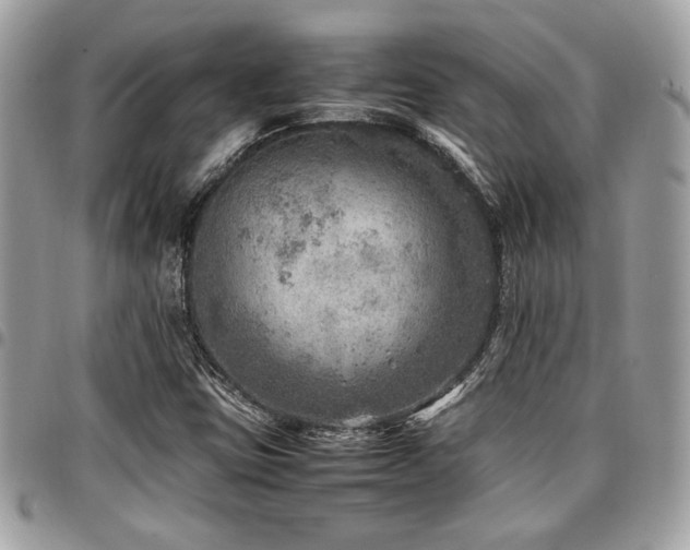 X0000096941403200802081155