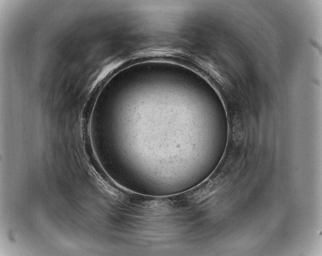 X0000096941404200802081155