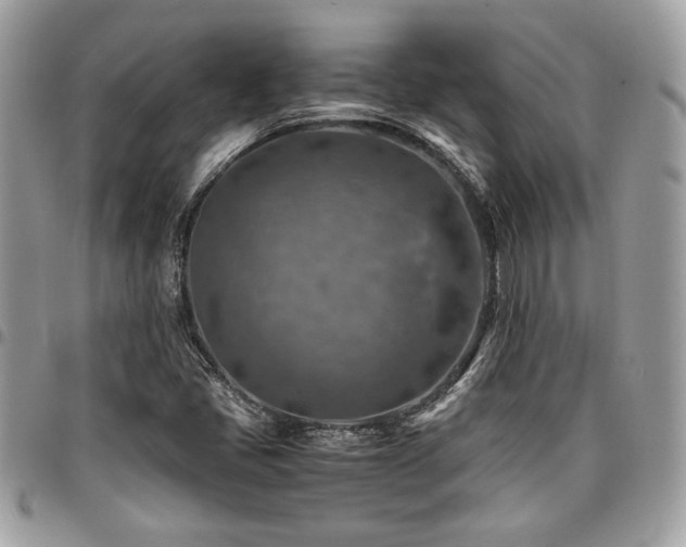 X0000096941405200802081155