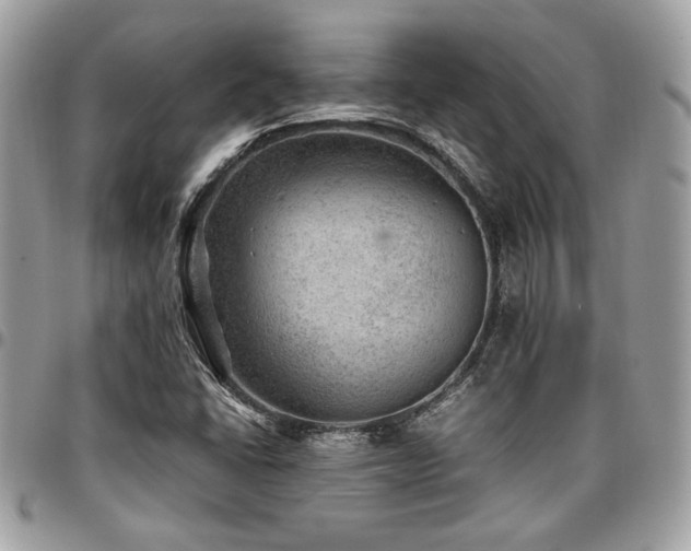 X0000096941406200802081155
