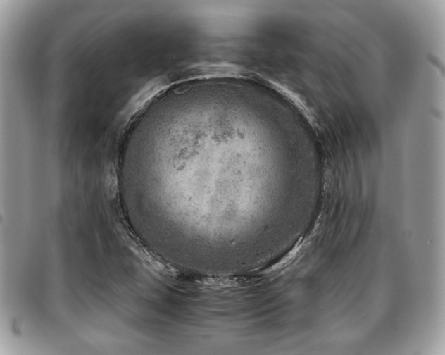 X0000096941407200802081155