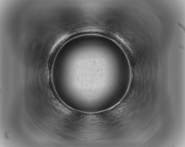 X0000096941408200802081155