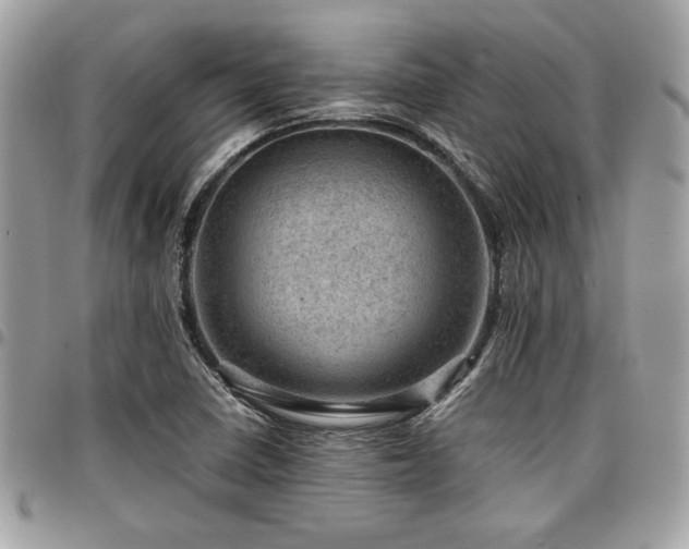 X0000096941410200802081155