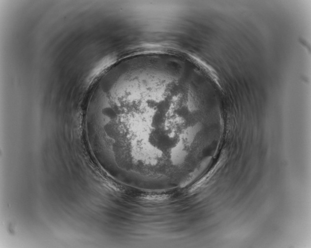 X0000096941411200802081155