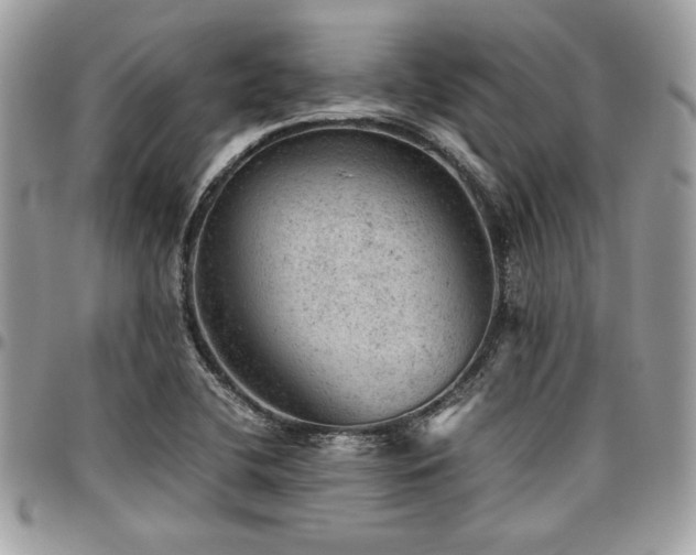 X0000096941412200802081155