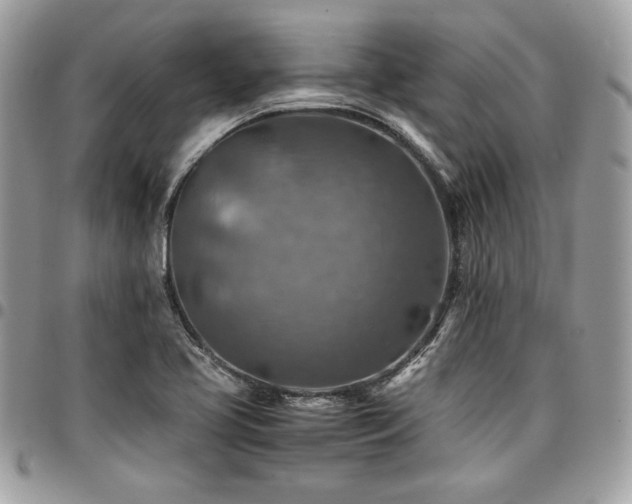 X0000096941413200802081155