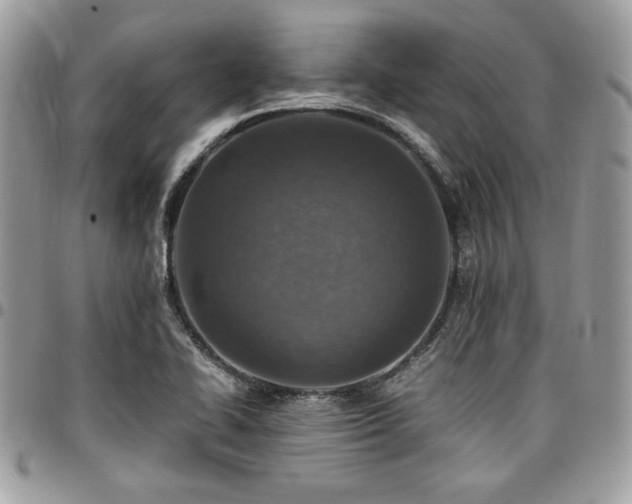 X0000096941414200802081155