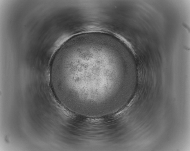 X0000096941415200802081155
