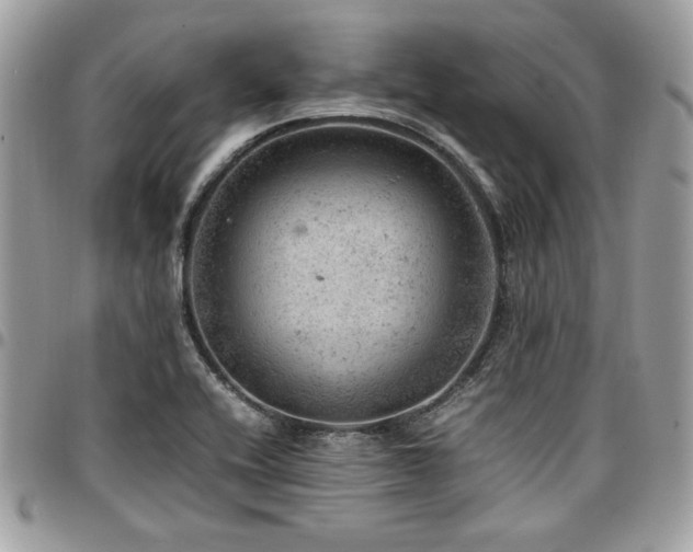 X0000096941416200802081155