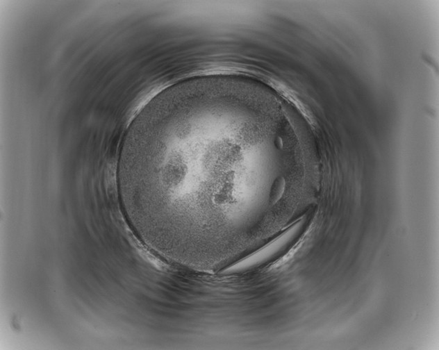 X0000096941417200802081155