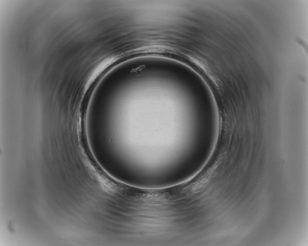 X0000096941418200802081155