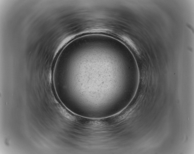 X0000096941420200802081155