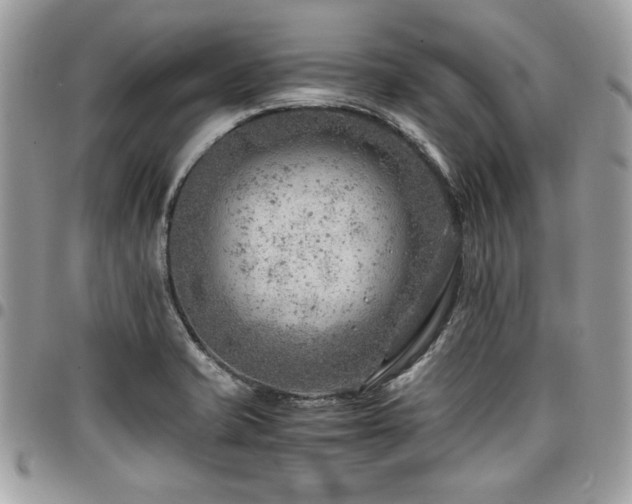 X0000096941421200802081155