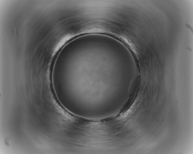 X0000096941422200802081155