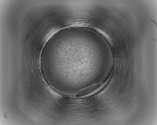 X0000096941423200802081155