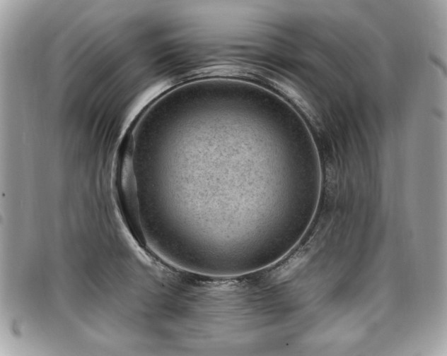 X0000096941426200802081155