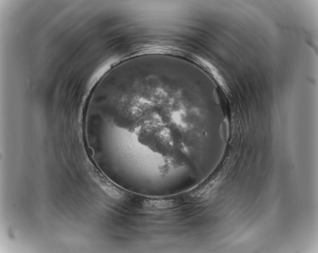 X0000096941427200802081155