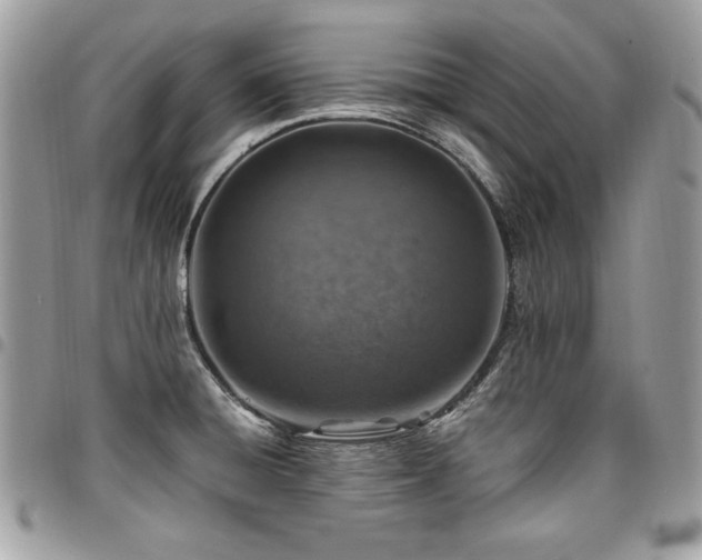 X0000096941428200802081155