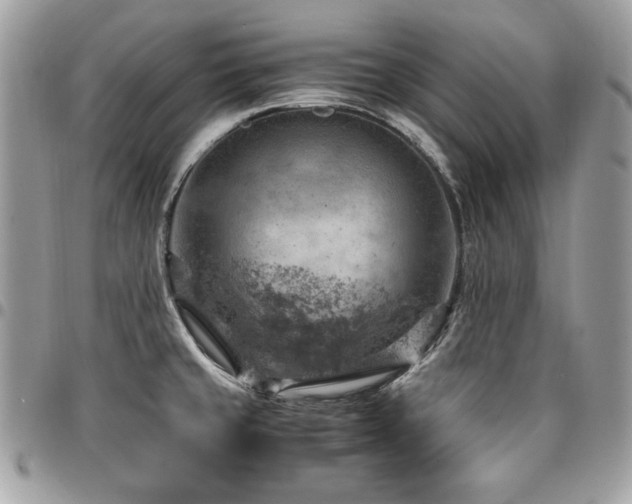 X0000096941429200802081155
