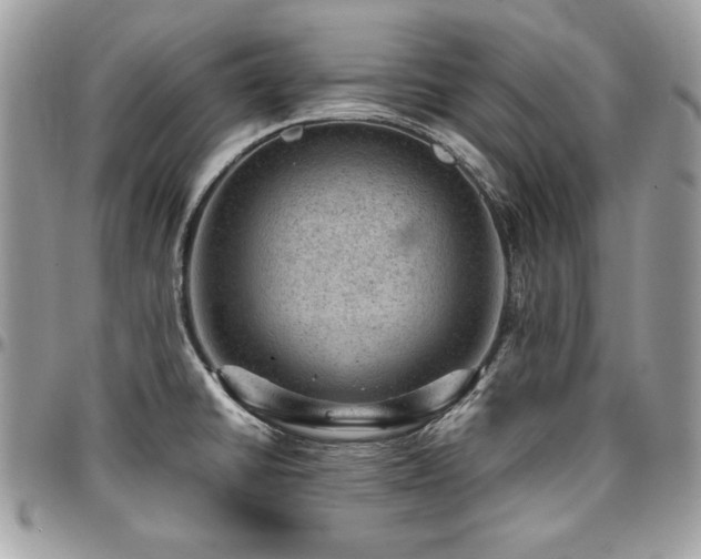 X0000096941430200802081155