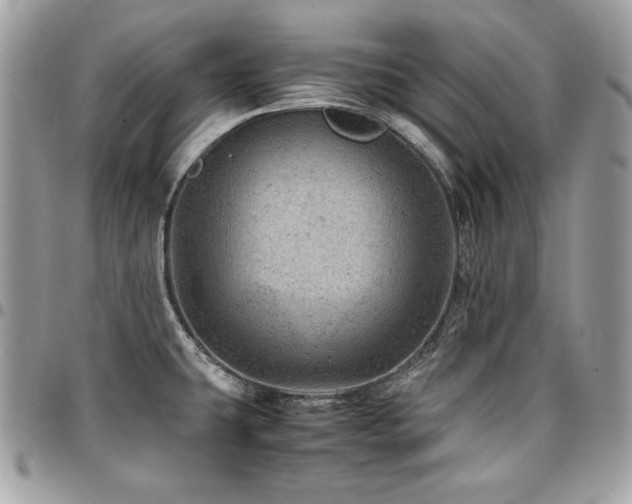 X0000096941431200802081155