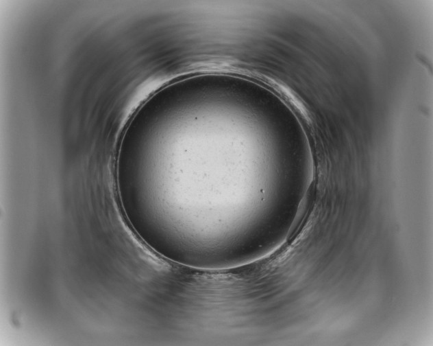 X0000096941432200802081155