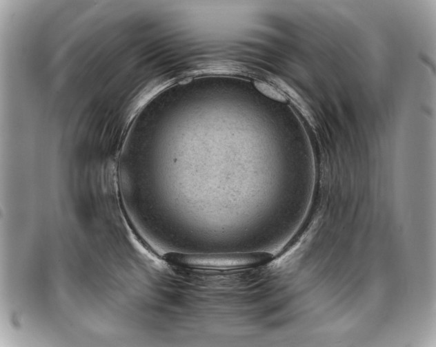 X0000096941433200802081155