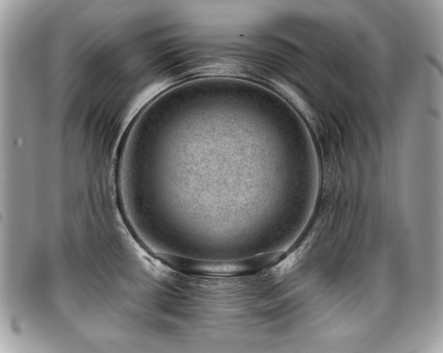 X0000096941434200802081155