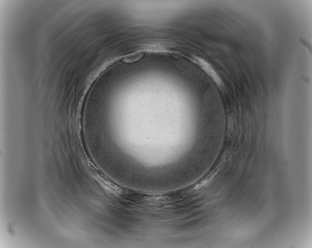 X0000096941435200802081155