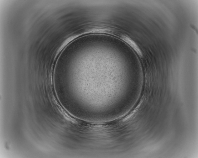 X0000096941436200802081155