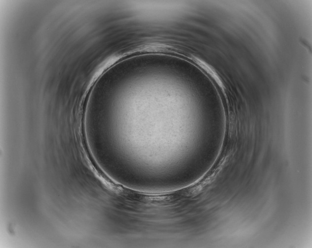 X0000096941437200802081155