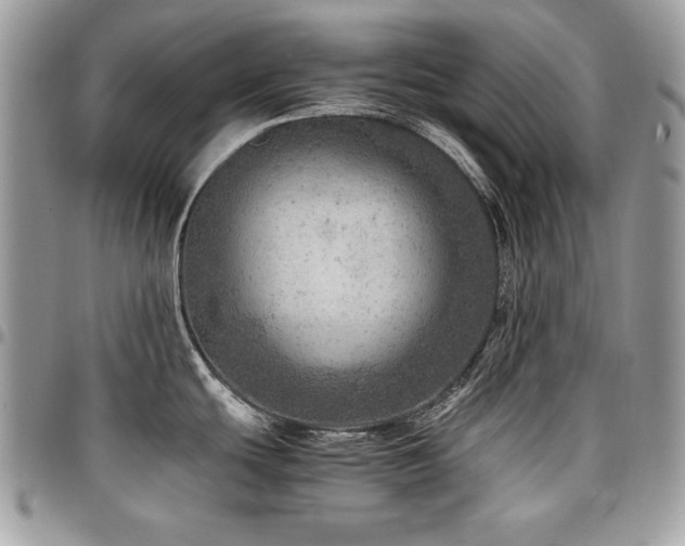 X0000096941439200802081155