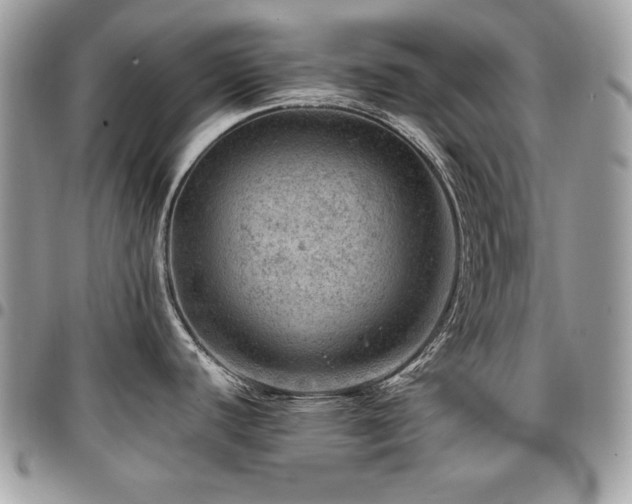 X0000096941440200802081155