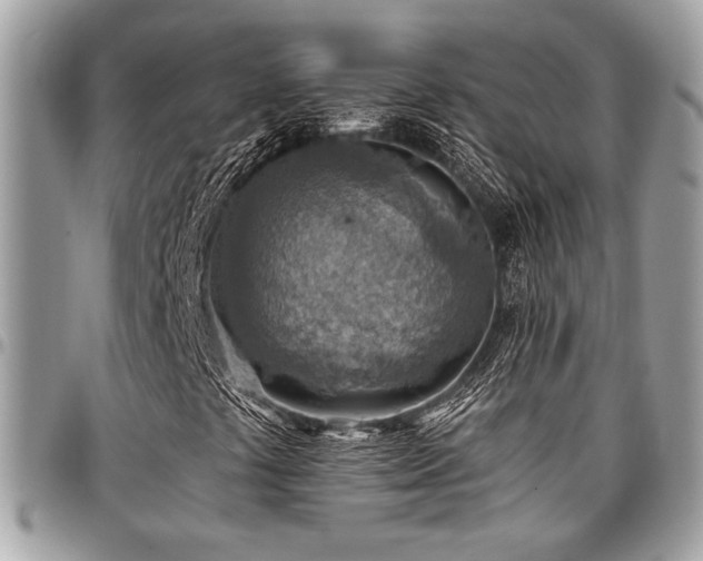 X0000096941441200802081154
