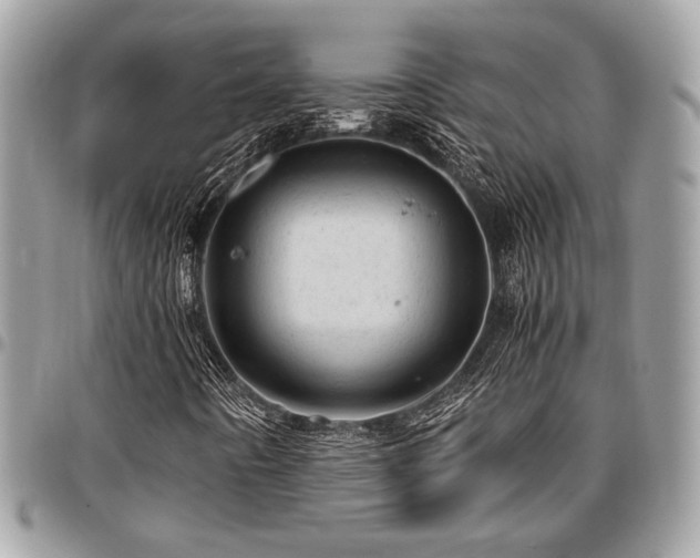 X0000096941442200802081154
