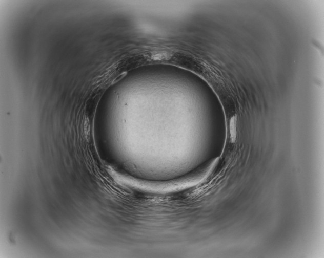 X0000096941443200802081154